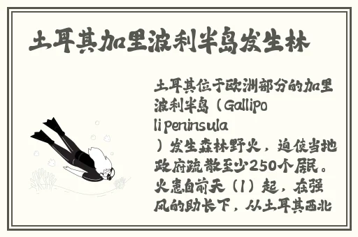 无人区卡一卡二卡老狼网站